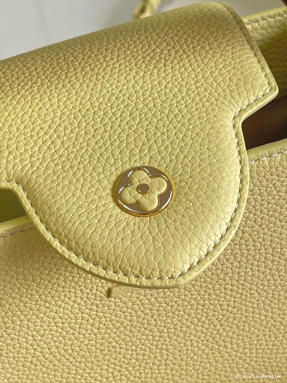 Official oldcobbler LOUIS VUITTON CAPUCINES BB 0803